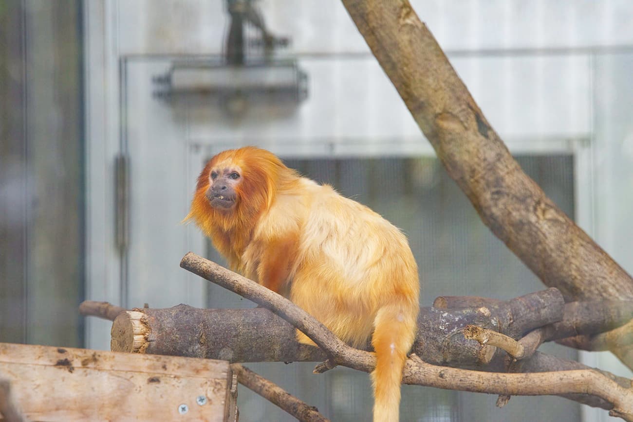 浜松市動物園